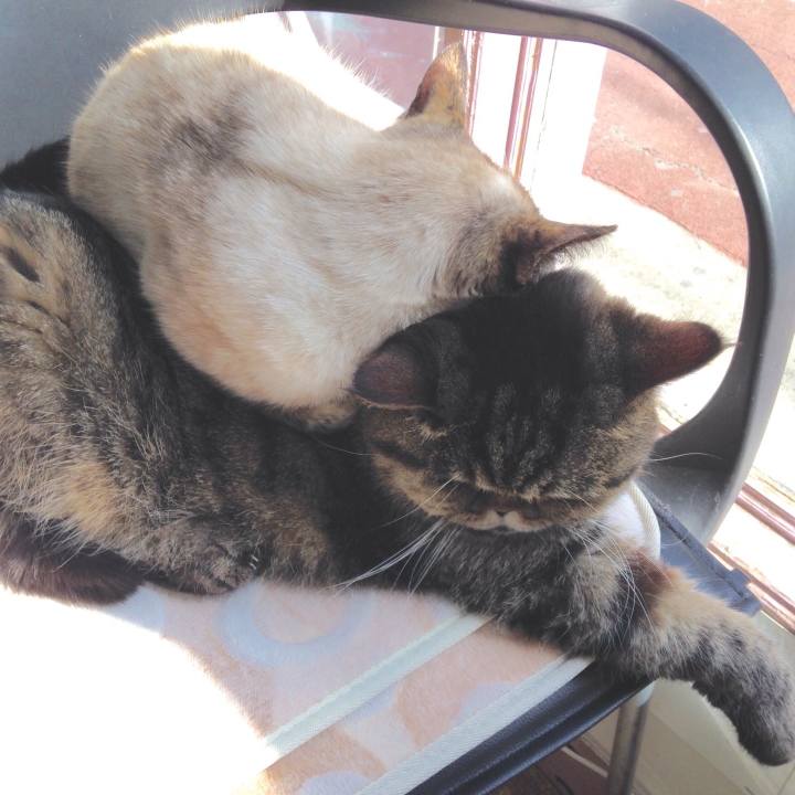 68858582 c1de 49be 863a a1539ee36c7b