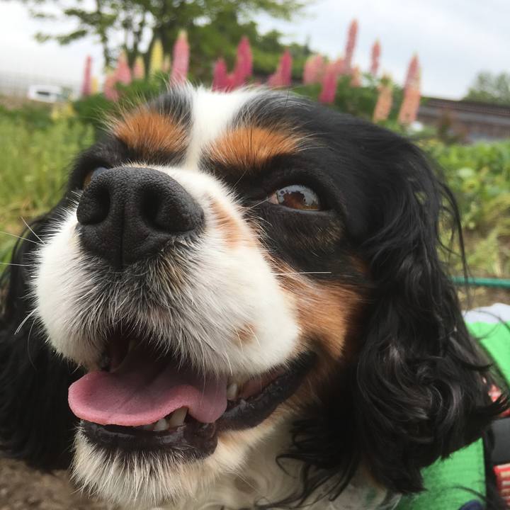 6885d47c c50d 404c 9bbb 6f9100f082bb