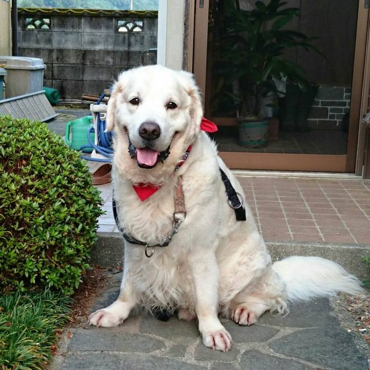 68861b7d 2fda 4726 ad63 83928bc94e16