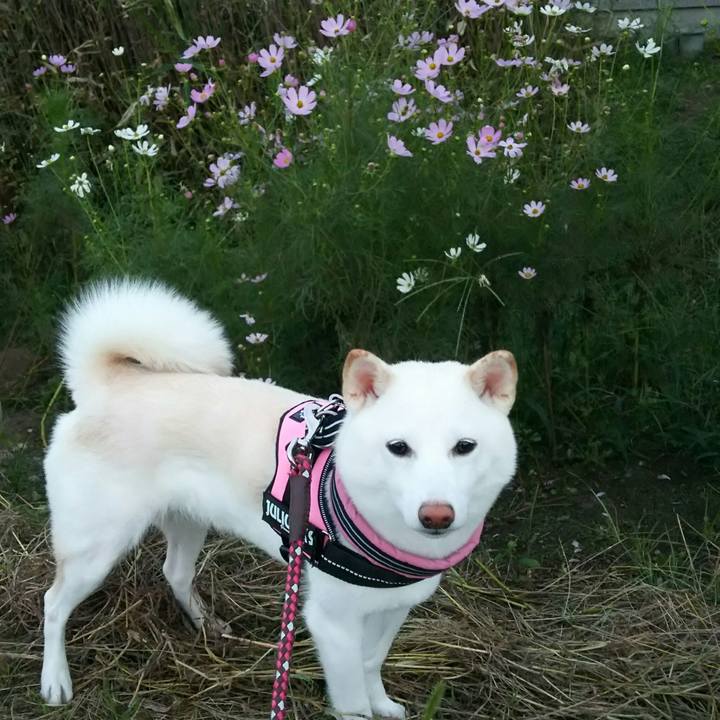 6886cab5 51fa 475b 9e1e 4b0a6d51bf1b