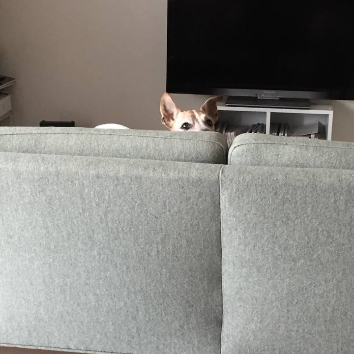 6887acf3 6fda 4ebe 9c98 a4f08fbc4d74