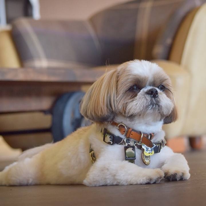 6887bc60 9d45 466c 8117 8c7387dbd734