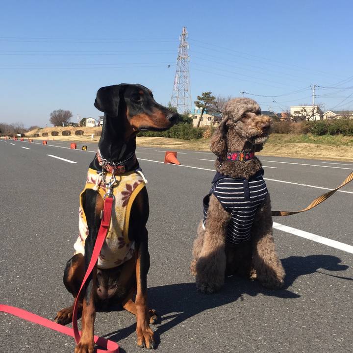 68887728 985a 4789 a1f1 2e5376797582