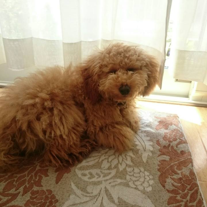 68888fd5 e96d 429c abad 713473a32df8