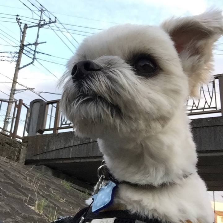 6888fd87 e8a5 43ad af0e ae21d3c0c859