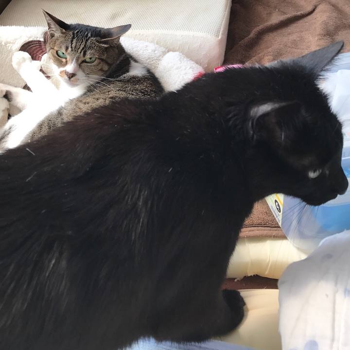 68895279 9066 40a0 a248 a953972fb042