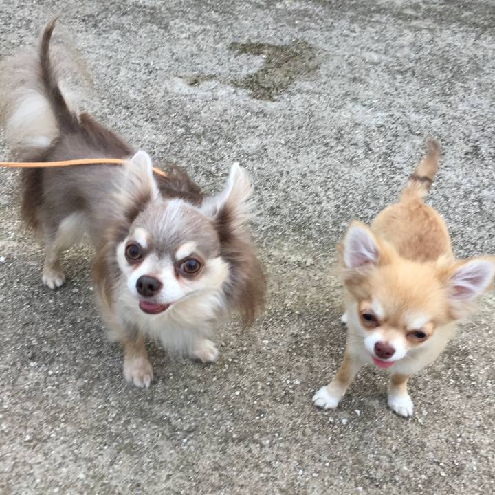 6889a047 04d3 4b30 9b83 d1f3e21d619a