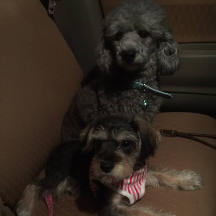 6889ca1f dc99 447c a9db 5191eee3c01f