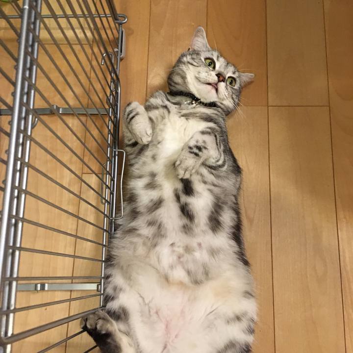 688a4b19 0a6c 46b7 b060 24b5ac38b504