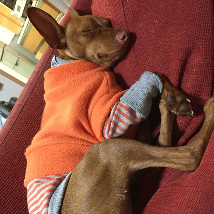 688a72ff 9630 4ebb b54f c42a13351ec2