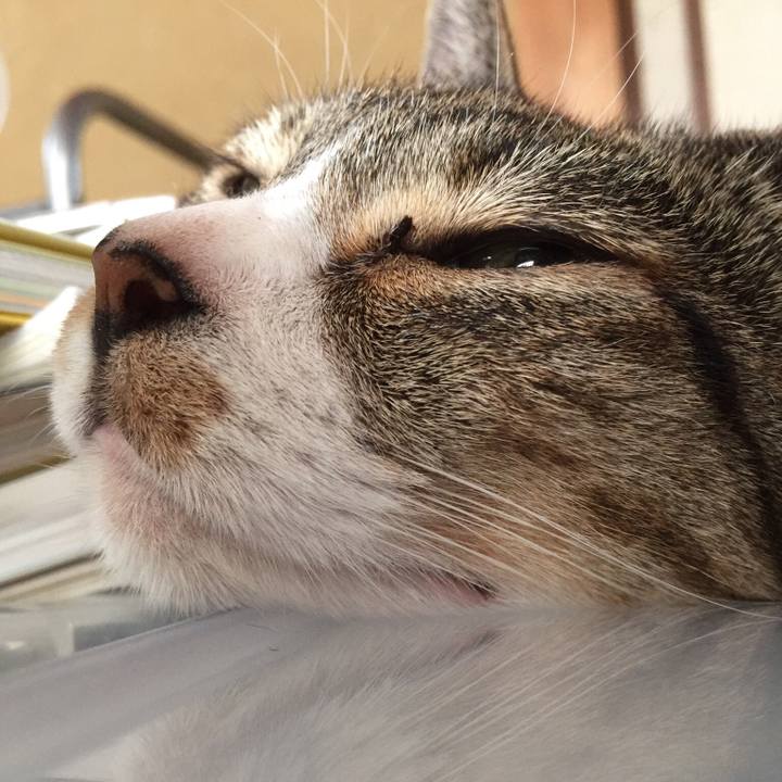 688b0d85 58bf 446e 8265 d351ae0da819