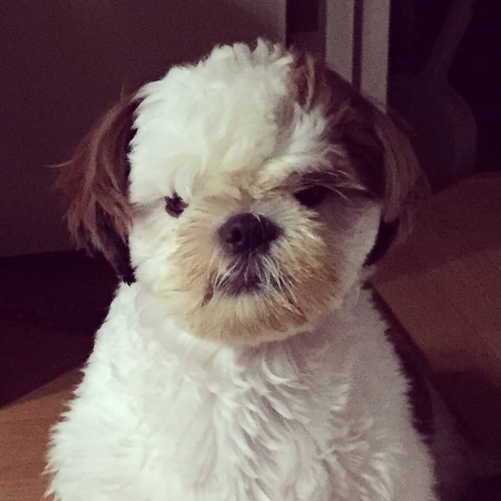 688b5637 dbba 4b9f b9b1 193399a91ea5