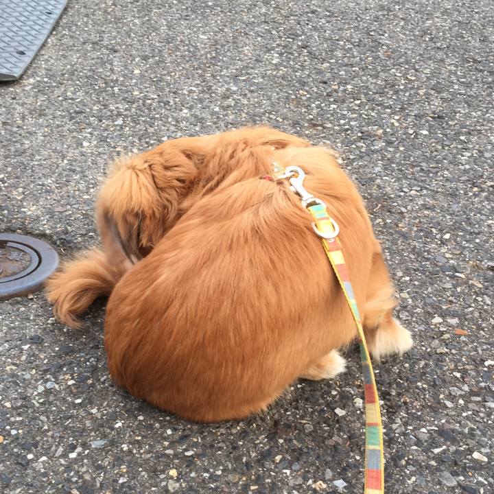 688b9291 cb66 49ef a119 4e4f1112d399