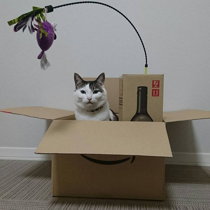 688c6c5b 5d14 4a92 81bd 7ed451781bb1