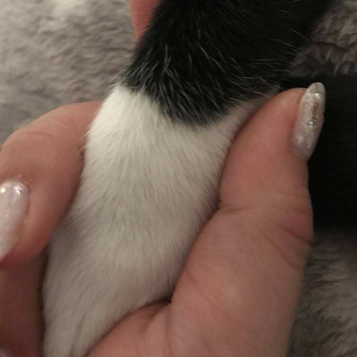 688dae9e 609c 4411 a4d9 7215f1f322fe