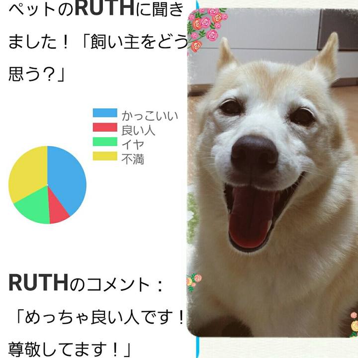 688e9e0f 0ba0 45d5 8992 b671e59dffc3