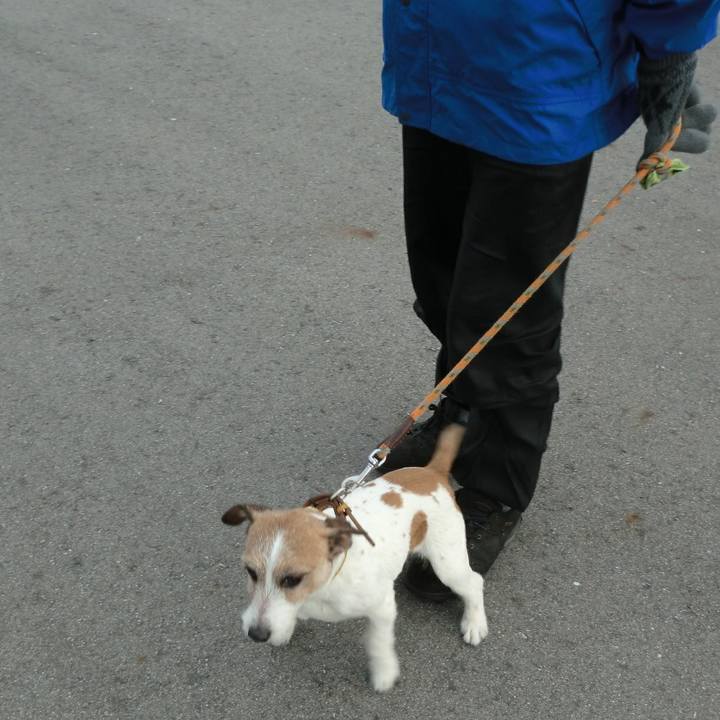 688eac6a a1bf 4de1 887e 73a4d65038d3