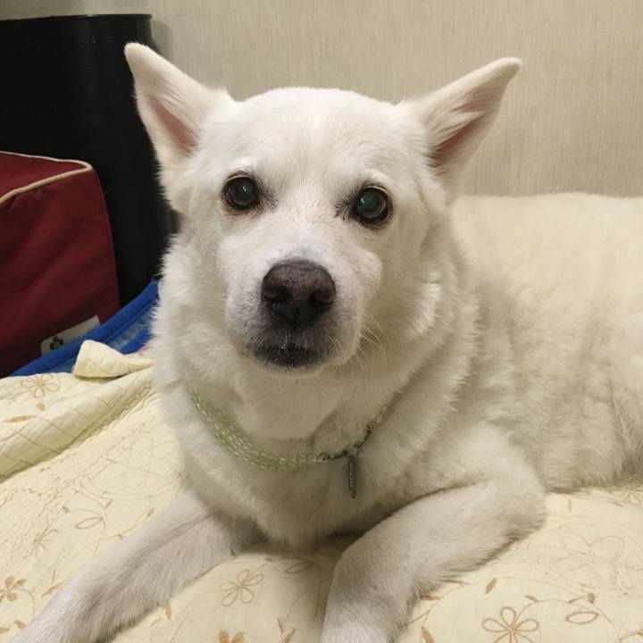 688f06bc 4bd6 410f 8af4 08ed98f73d7e