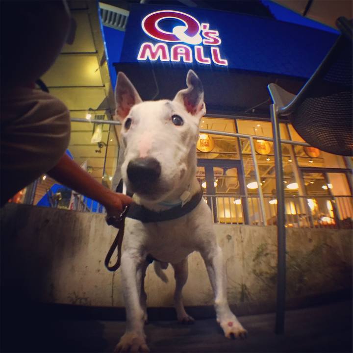 688f2f15 22bf 4f6f ae75 85969d82272b