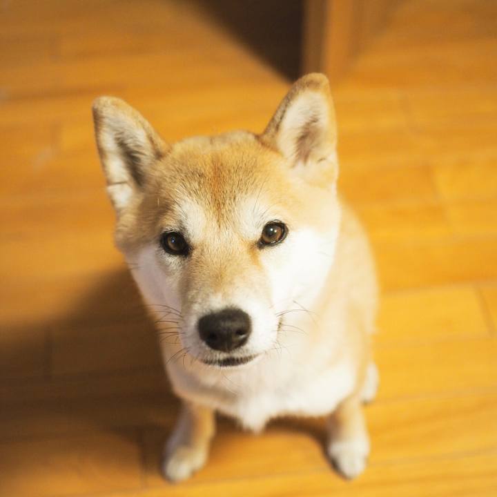 688f467a 1be4 4ad2 8b3e 30164378b66a