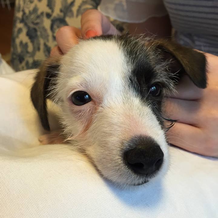 688f665e 8b69 47ff a81b 7d7600cfac15