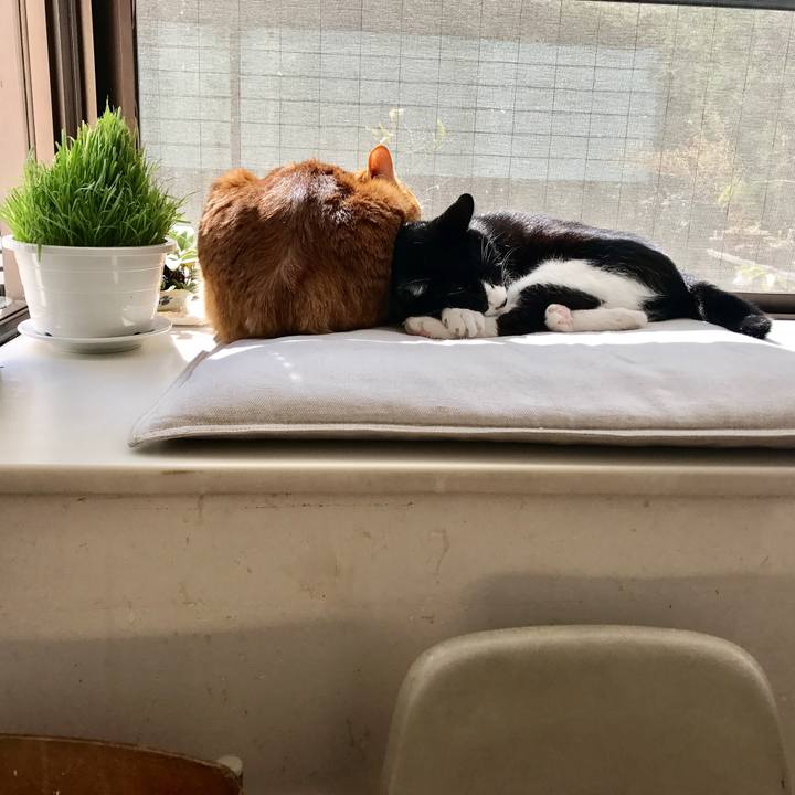 68904c29 0d98 4249 8ee3 241c4c5bbaa4