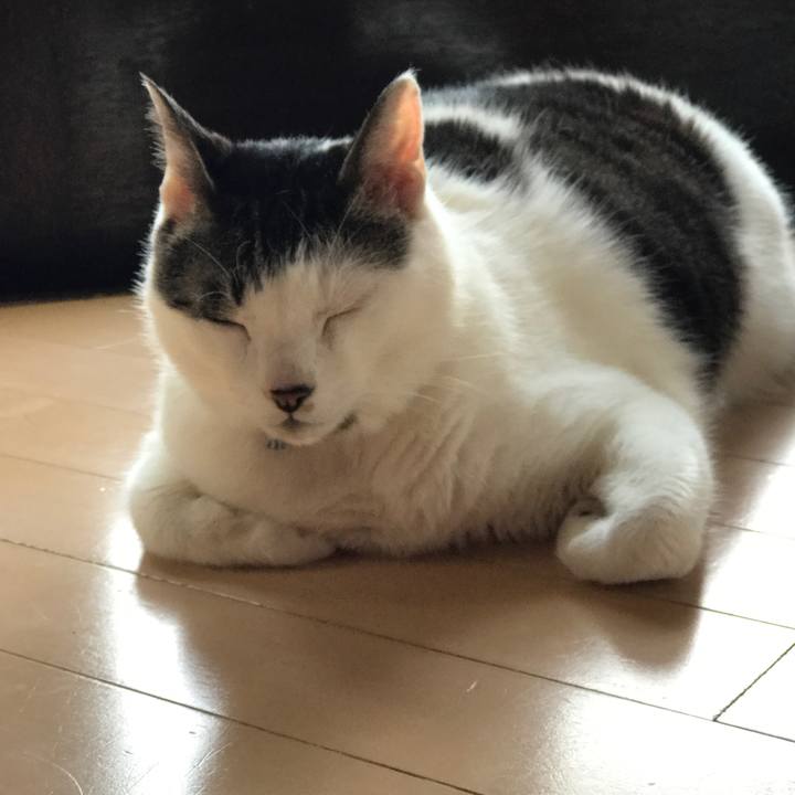 689133a0 34cb 4de3 986f d2f5844eb1d6