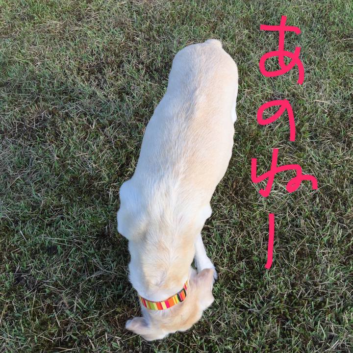 6891359f a2b1 4f6d 8ba5 358f22ee1865