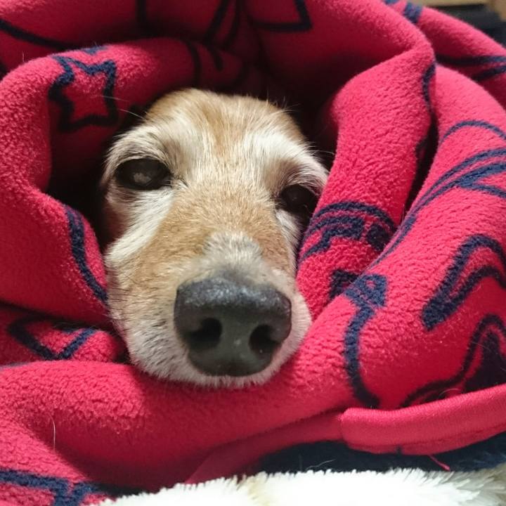 68913abe 6ffb 456f 8f9e bbcd7b59e87e