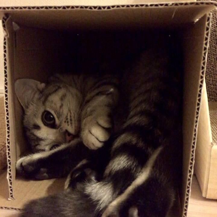 68916d2d 4915 44f9 bbd3 4d5e33e4260b