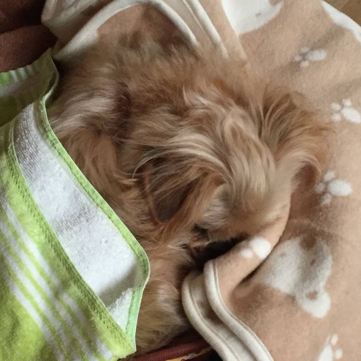 68917dfc 7cf1 4142 aa3e 5d31ca80d7b9