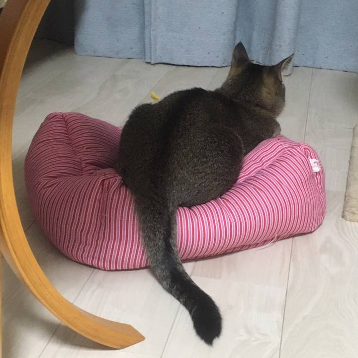 68931e2a d416 4a57 a53c 1ddcc5bf03a8