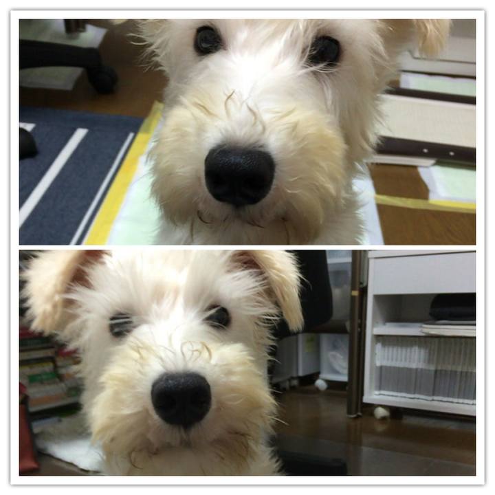 68935a61 5dca 45ca adb8 1f8efaae1ed5