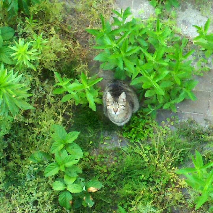 6893769a 4324 4ad3 8a85 d00e94a3e4e3