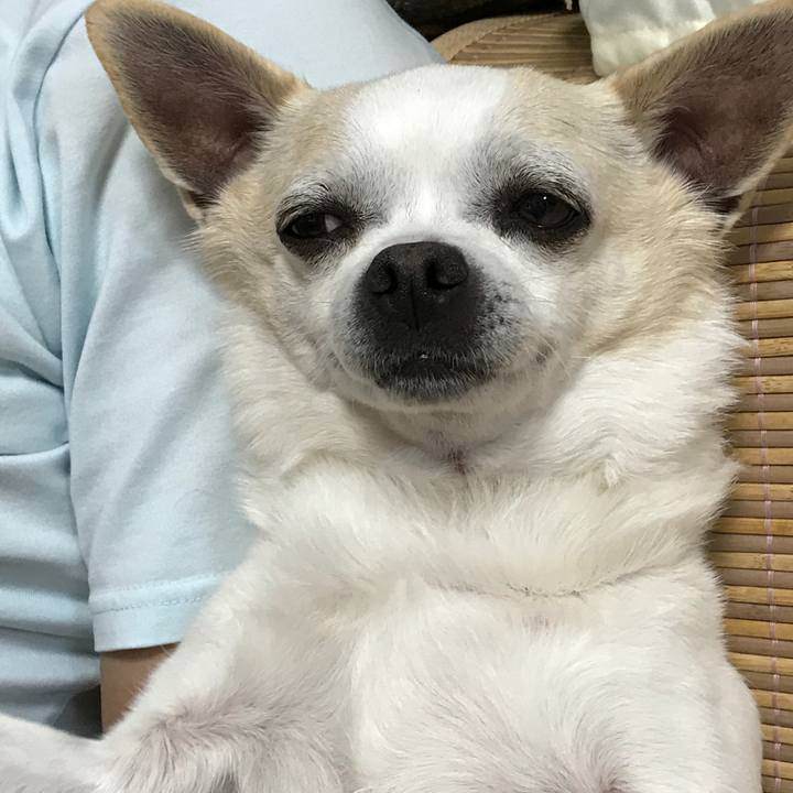 68942f27 1a8f 4c55 bd11 ebf18deee775