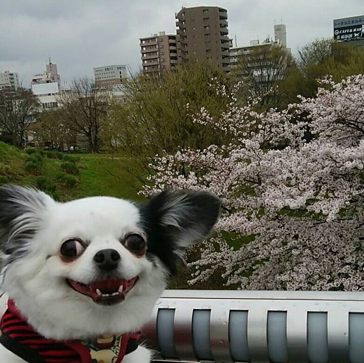 6894c6db d8d5 4b36 a836 776d2f61c126