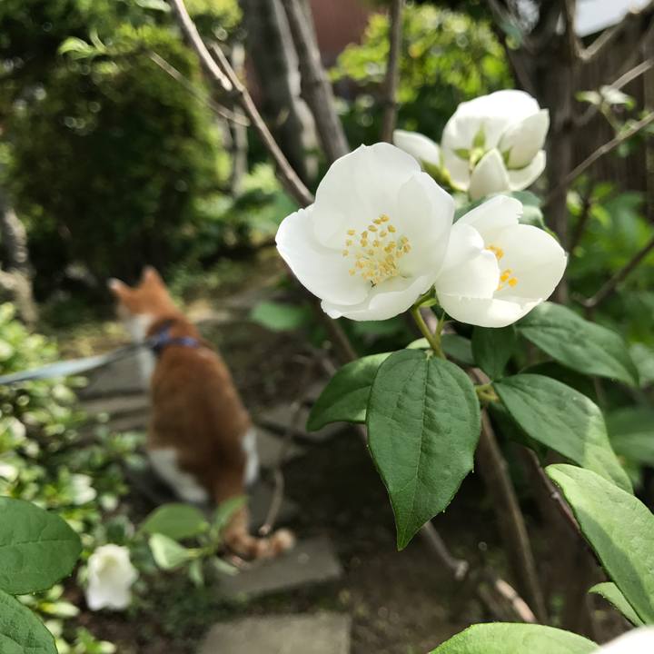 6894e40c 6f65 4436 b5d6 ca815a089396