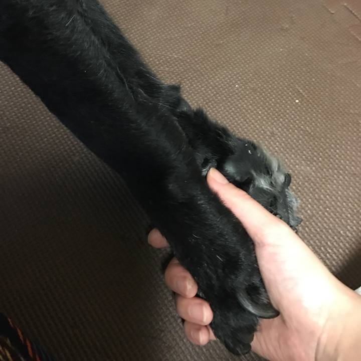 68955288 6f8b 472a a3d9 3573d3cd1208