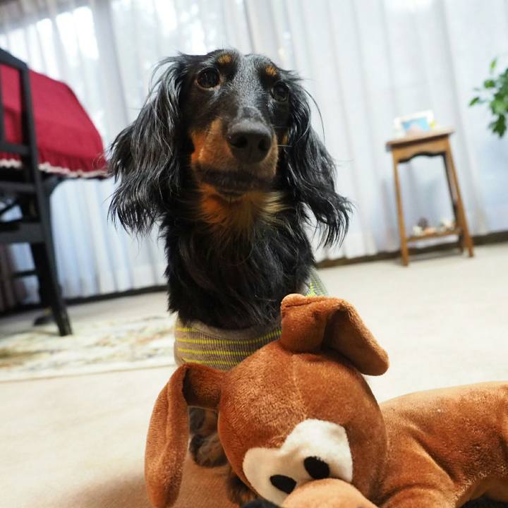 68959476 1e4f 4e53 a45b 3277817173ed