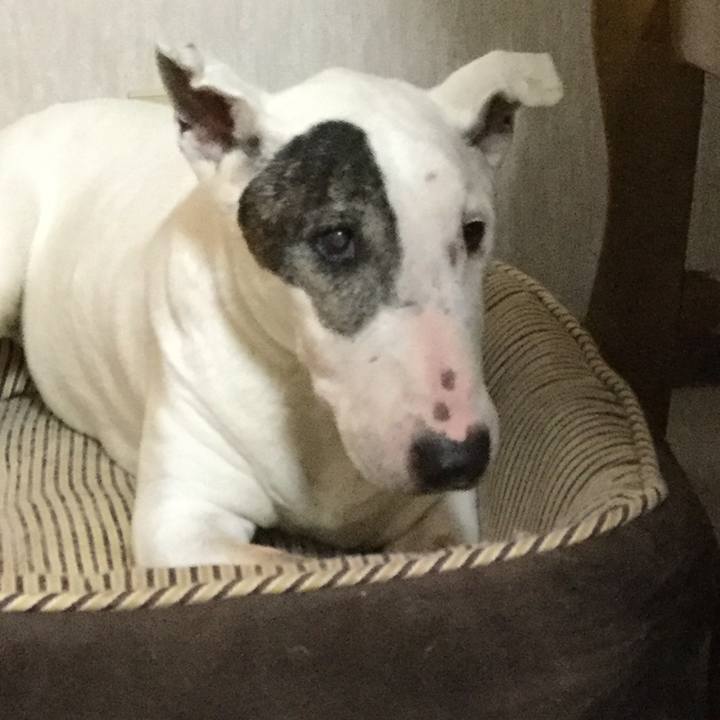 68959520 fa65 4c1e 91e2 768678a6bd67