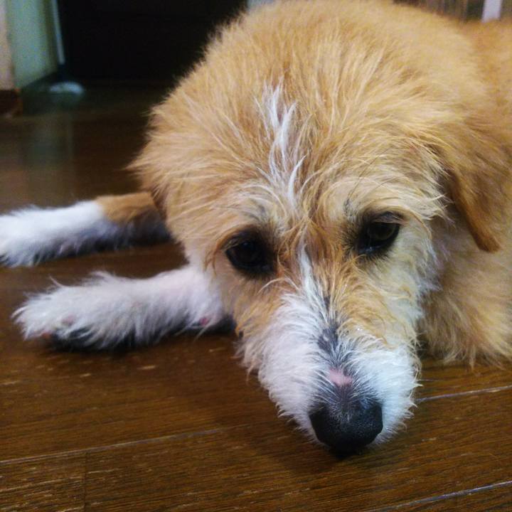 68960ede 05af 4273 b62d 1fe54e07c21b