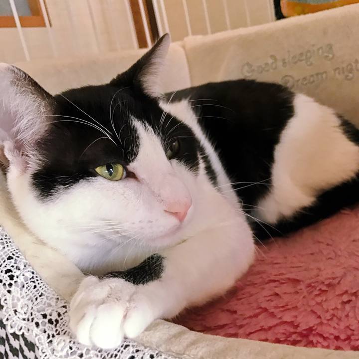 68965293 d6f4 4036 adf0 44d50060a00d