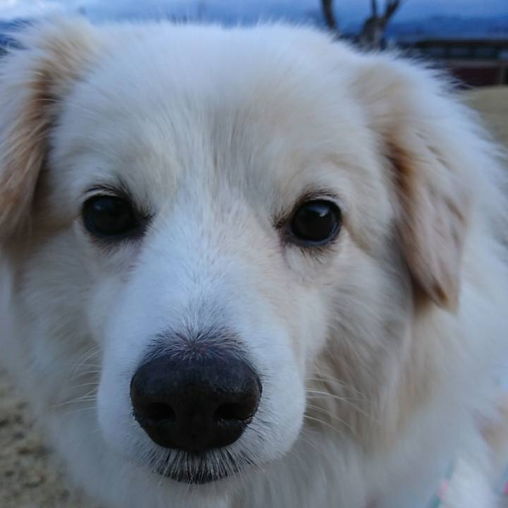 689664e8 209e 45c2 8645 f19705a3b767