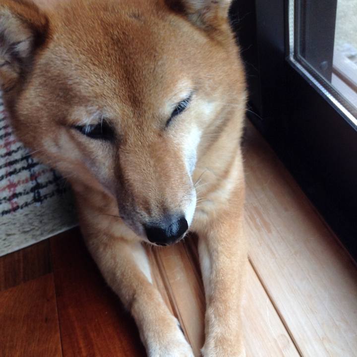 6896df34 11e6 427e 9d5d 6134818b0b0b