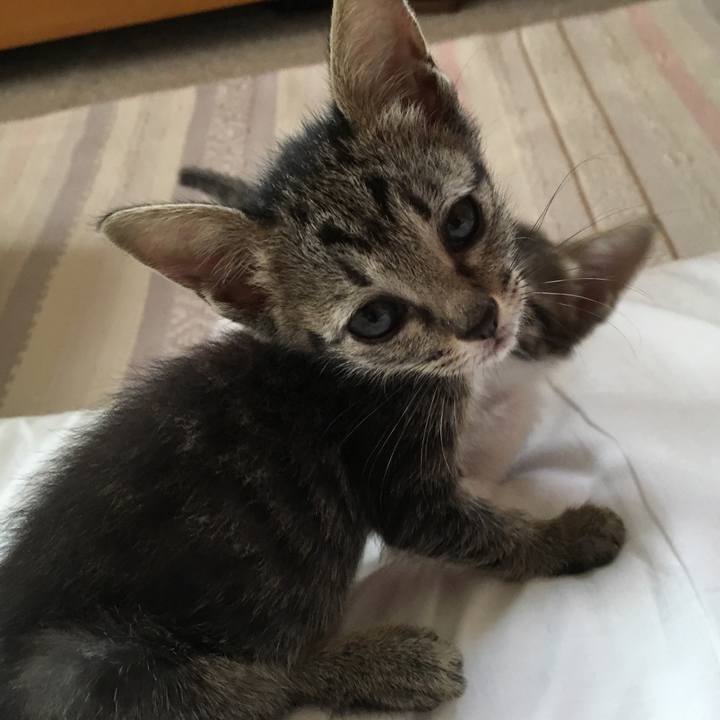 68970419 56dd 40e4 a947 e3287e0eb25a