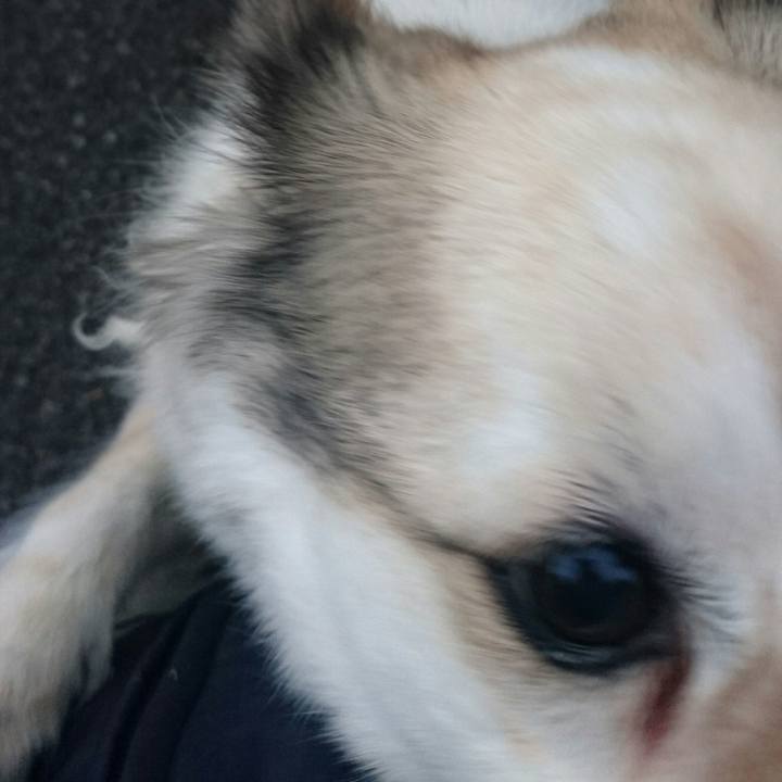 689750d9 fe34 445d 97c7 2d69da085f93