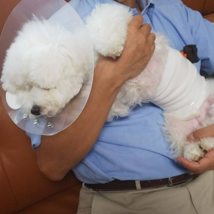 68978be0 77c9 449b 9e79 55fe0deb8533