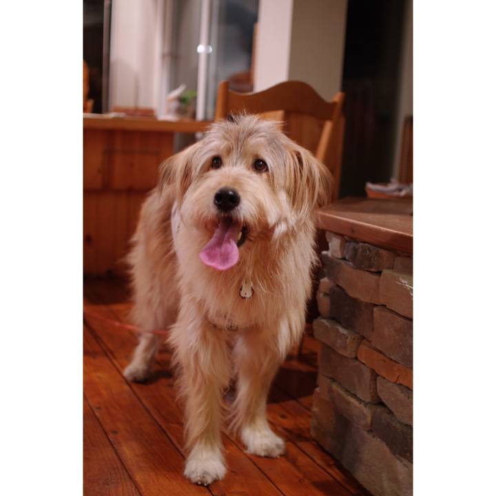 6897959f 8fc1 4483 98ab 246cb7f1cb0d