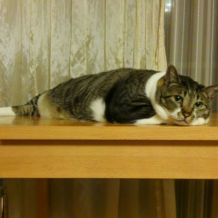 6897a16c bb0d 4621 aa27 73b42175f006