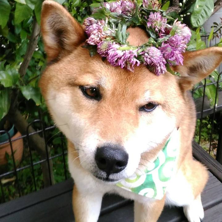 6898404b 8b44 4cee be51 0b592126dcbf